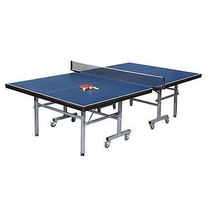 pro pingpong 2